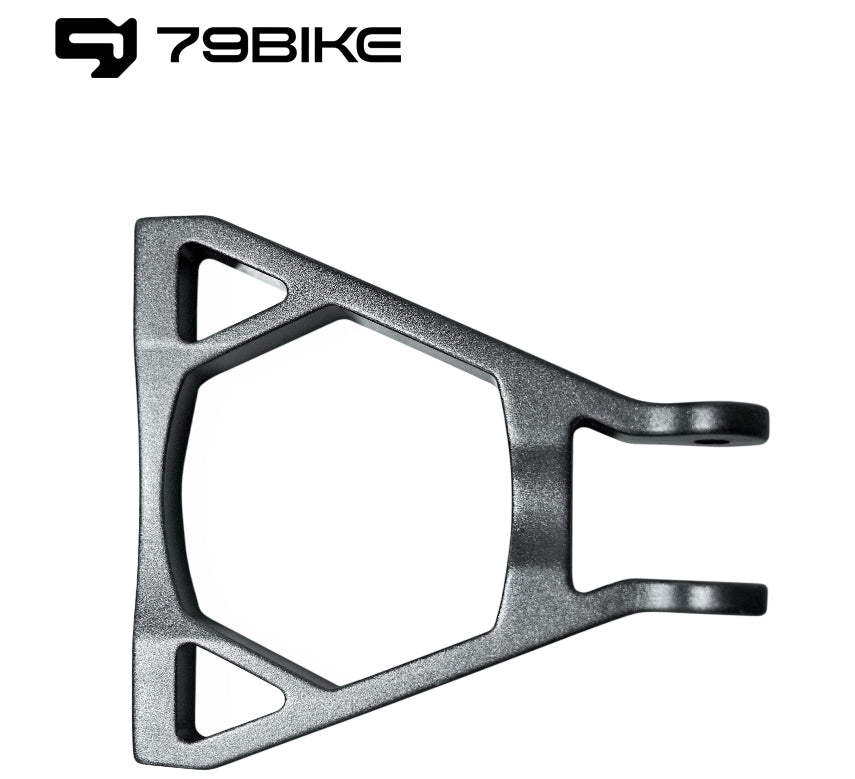 79bike rear triangle