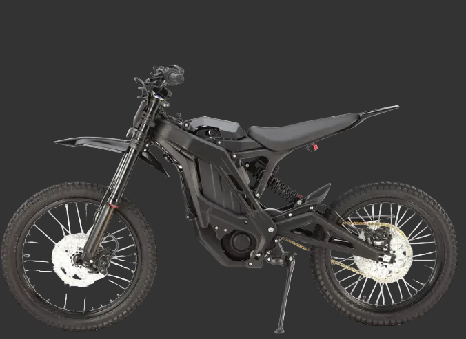 E RIDE PRO- PRO SS 3.0